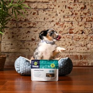 PAWS by Luma: Calming CBD Pet Treats
